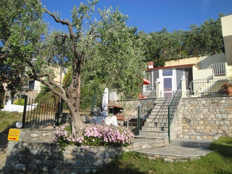 Nestor Apartments Chrysi Ammoudia Exterior foto